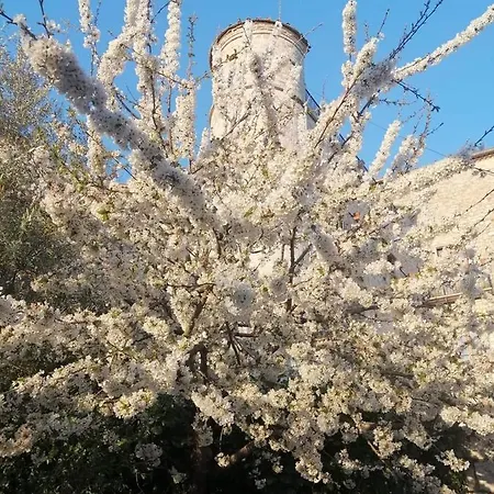 Vicidomini * San Marco dei Cavoti